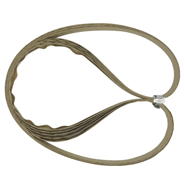 Lame De Scie à Ruban Starrett Pour Viande - 1740 X 16 X 0,50 Mm - 4 Dents Par Pouce - Pour Boucherie Et Découpe De Viande Fraîche Ou Congelée