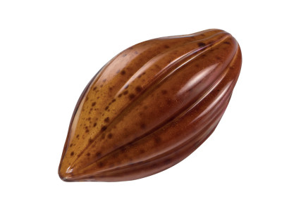 Moule à chocolat 21 cabosses - Martellato