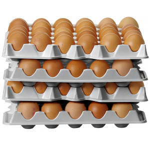 Plateaux pour boite &agrave; oeufs gastronorme GN 2/3 (x4)