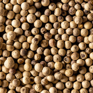 Boite de 4 sachets fraicheur de poivre blanc Sarawak - Peugeot
