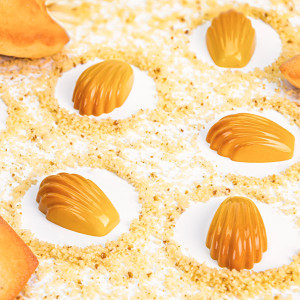 Moule &agrave; chocolat copolyester 20 madeleines - Martellato