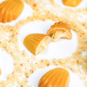 Moule &agrave; chocolat copolyester 20 madeleines - Martellato