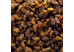 Raisin sec Sultanine