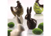 Moule à chocolat 3D à pinces forme poule Cocodè - Martellato