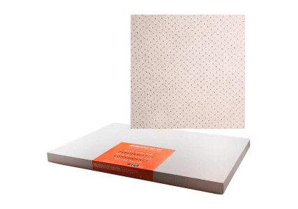 Papier cuisson siliconé micro perforé 59,2x39,2 cm (x200)