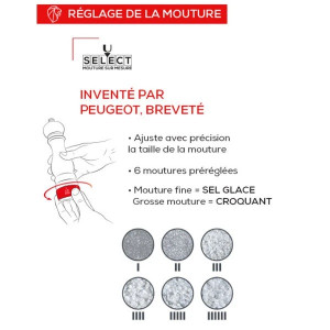 Moulin &agrave; sel Paris U Select en bois naturel Zirlion
