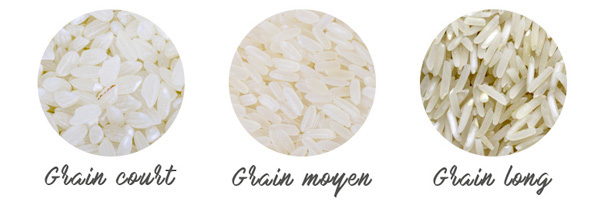 image différentes formes de grain de riz 