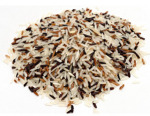 image de grains de riz de camargue